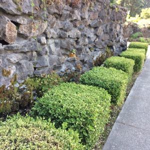 Meet your Posher, Jane